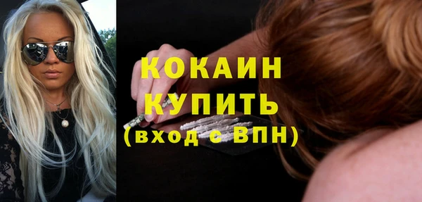 стаф Арсеньев