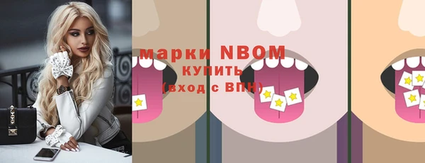 стаф Арсеньев