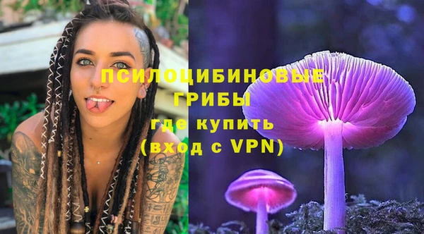 стаф Арсеньев