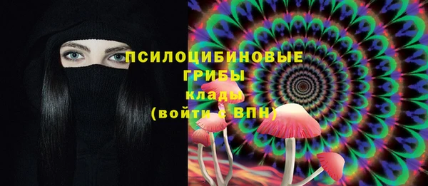 стаф Арсеньев