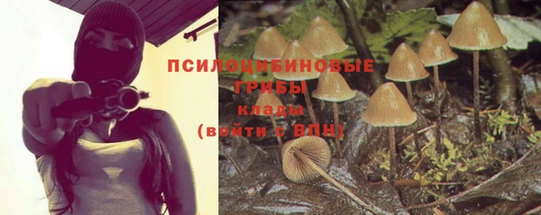 спайс Армянск