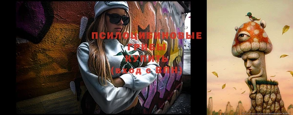 стаф Арсеньев