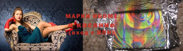стаф Арсеньев